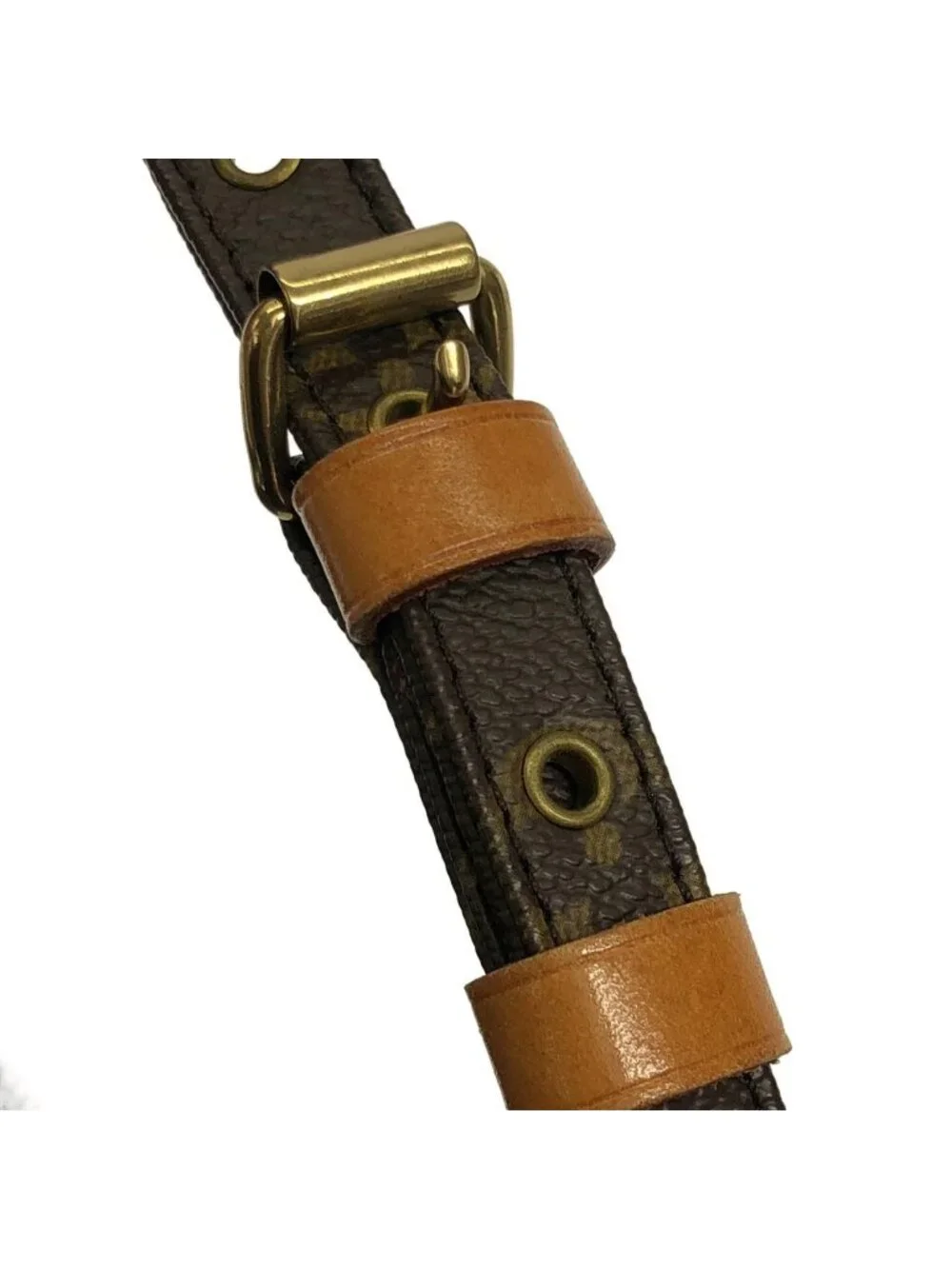 Louis Vuitton Monogram Amazon Shoulder